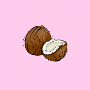 Coconutflavorchic